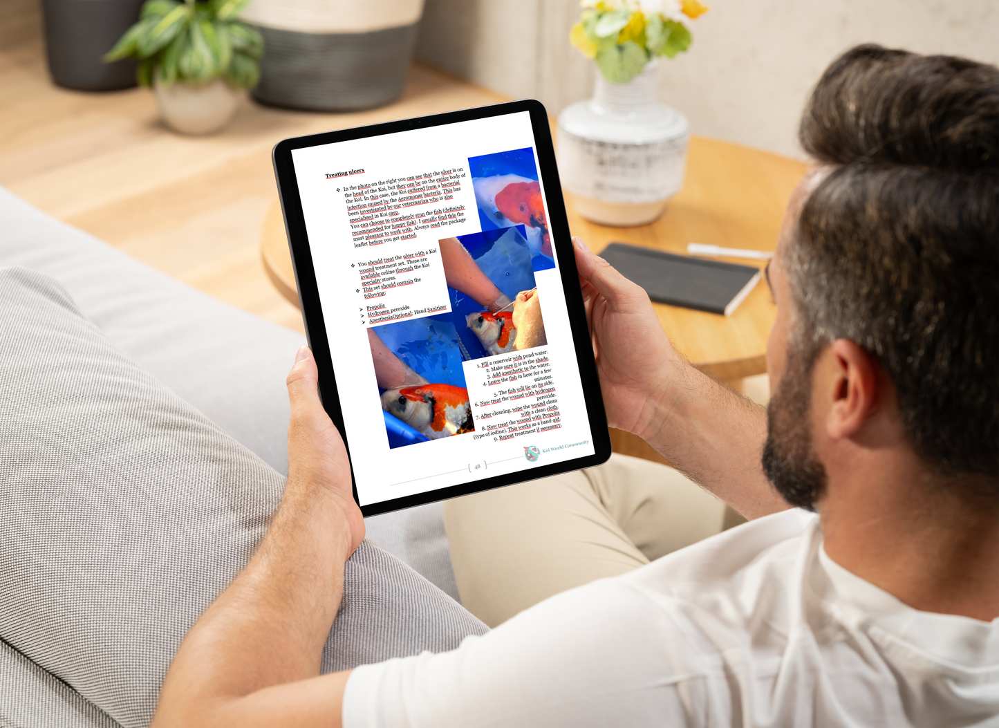 Koi-Meisterschaft: Der komplette Leitfaden zur Koi-Haltung